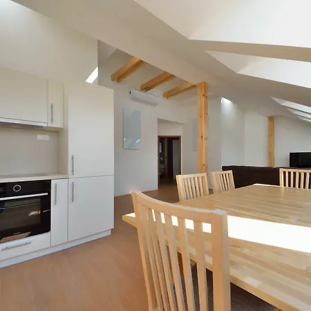 Apartment Downtown Chlumova *