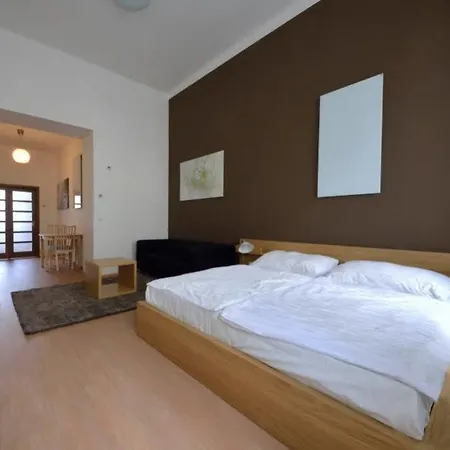 Downtown Chlumova Apartament